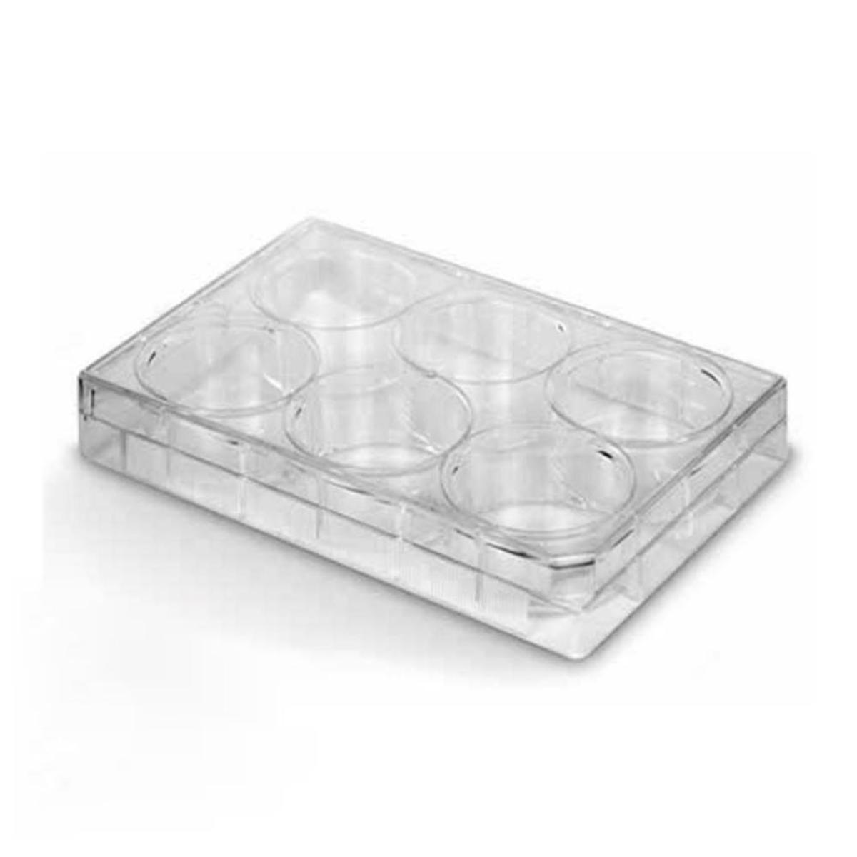 PLACA PARA CULTIVO DE CELULAS 6 POCOS. FU...